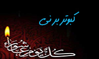 کبوتر بر نی